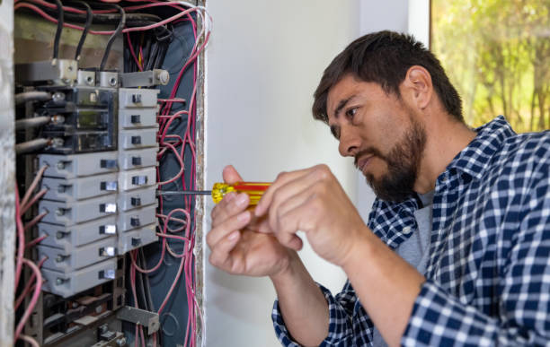 Best Ceiling Fan Installation Electrician  in La Paloma, TX
